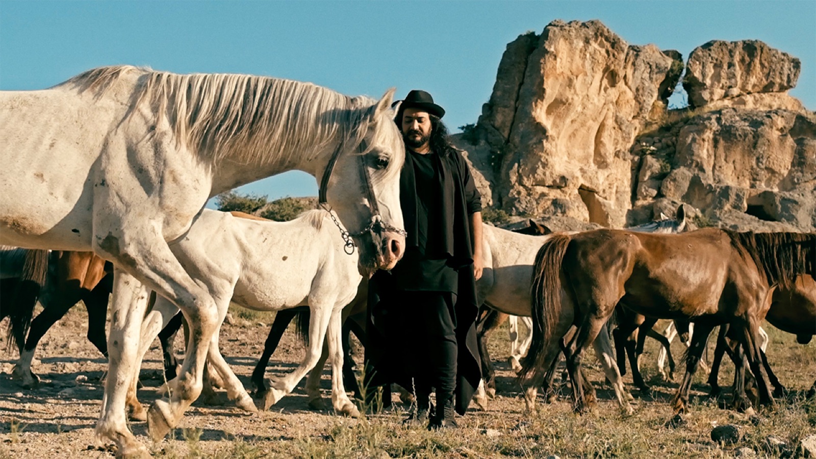 Majid Kazemi archive 2